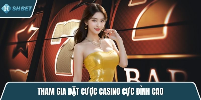 Tham gia đặt cược casino cực đỉnh cao