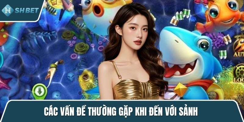 Các vấn đề thường gặp khi đến với sảnh