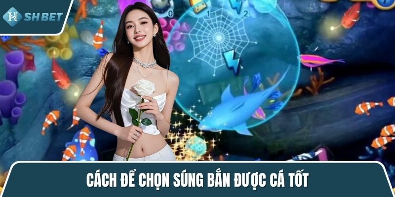 Cách để chọn súng bắn được cá tốt