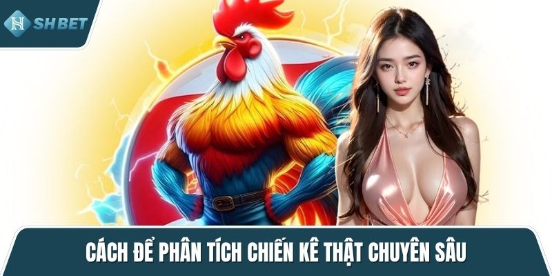 Cách để phân tích chiến kê thật chuyên sâu