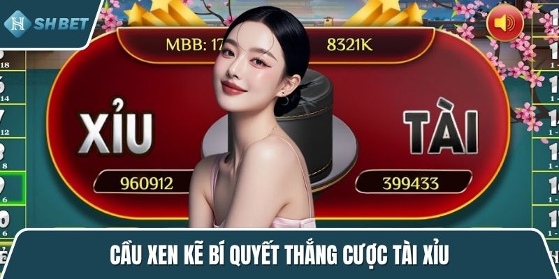 Cầu xen kẽ bí quyết thắng cược tài xỉu