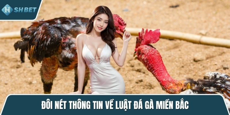 Đôi nét thông tin về luật đá gà miền Bắc