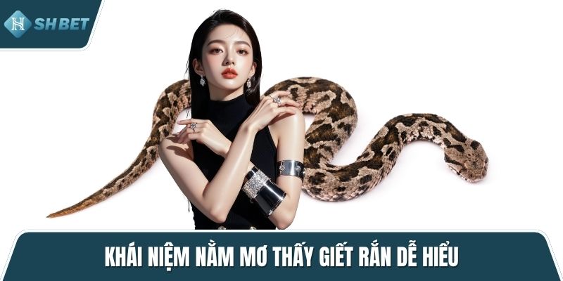 Khái niệm nằm mơ thấy giết rắn dễ hiểu