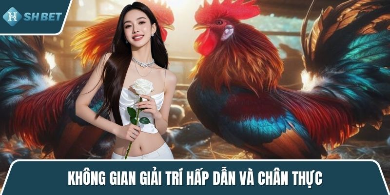 Không gian giải trí hấp dẫn và chân thực