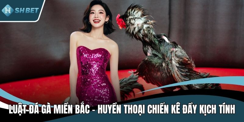 Luật đá gà miền Bắc