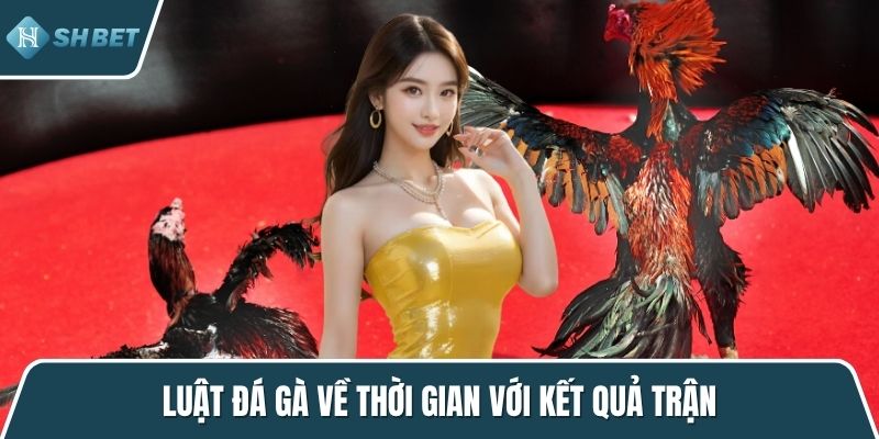 Luật đá gà về thời gian với kết quả trận
