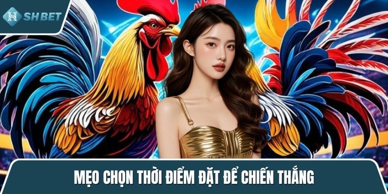 Mẹo chọn thời điểm đặt để chiến thắng
