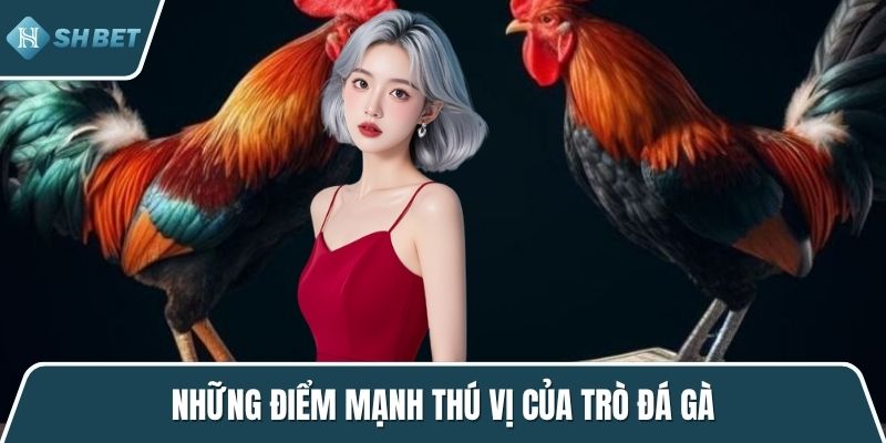 Những điểm mạnh thú vị của trò đá gà