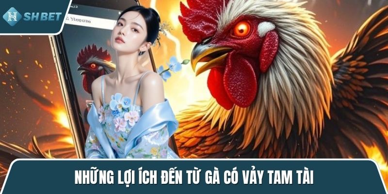 Những lợi ích đến từ gà có vảy tam tài
