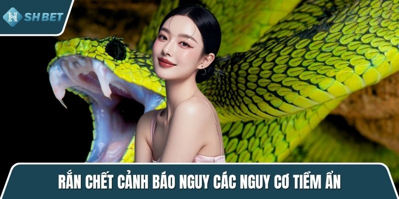 Rắn chết cảnh báo nguy các nguy cơ tiềm ẩn