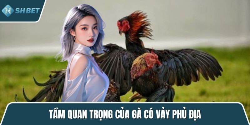 Tầm quan trọng của gà có vảy phủ địa