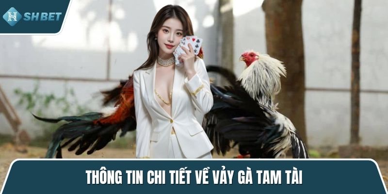 Thông tin chi tiết về vảy gà tam tài