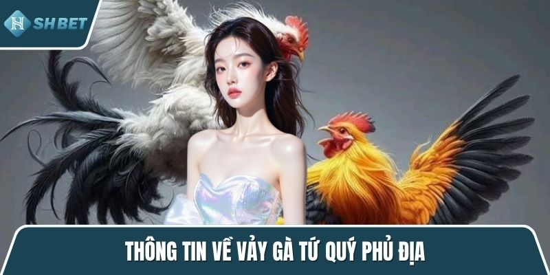 Thông tin về vảy gà tứ quý phủ địa