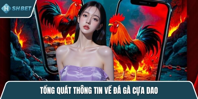 Tổng quát thông tin về đá gà cựa dao