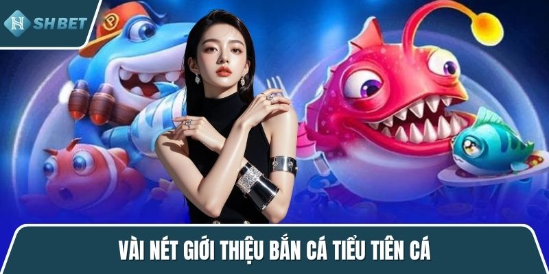 Vài nét giới thiệu bắn cá tiểu tiên cá