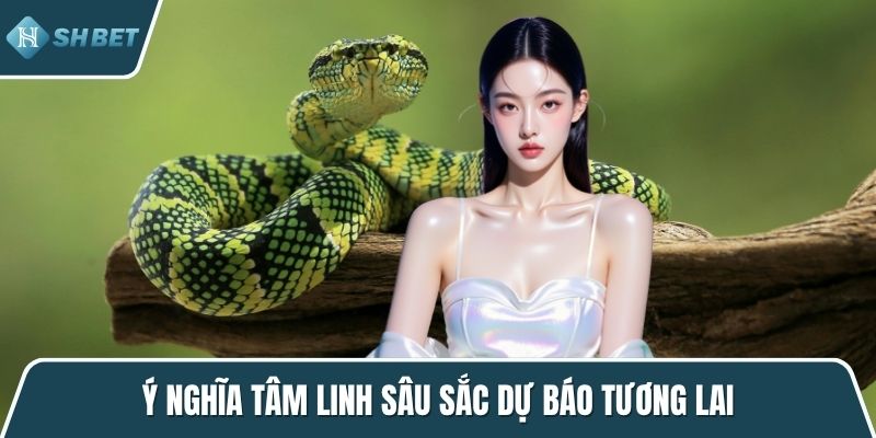 Ý nghĩa tâm linh sâu sắc dự báo tương lai
